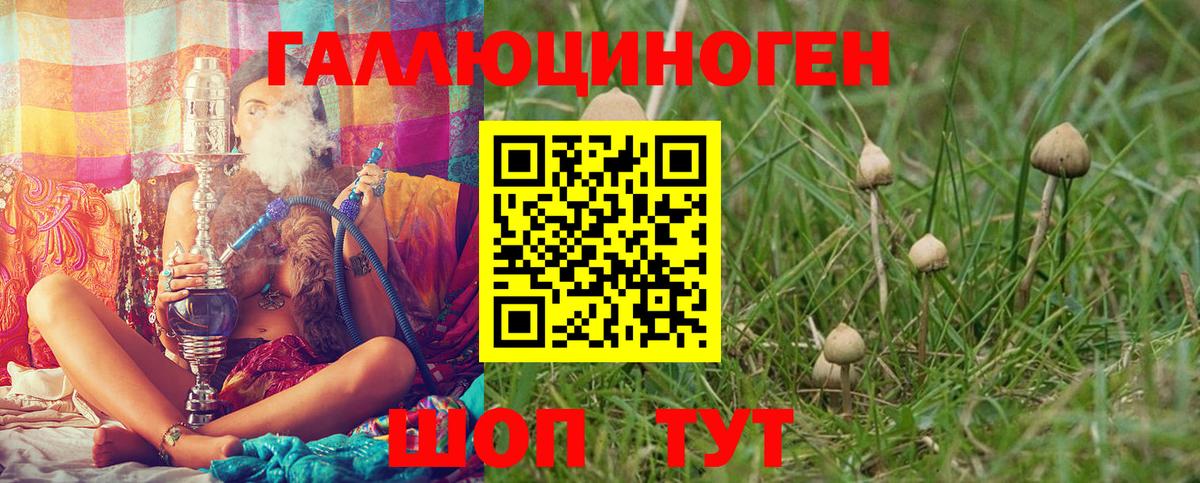 Галлюциногенные грибы мицелий  Вход с VPN  Кингисепп  сколько стоит  Псилоцибиновые грибы Cubensis 