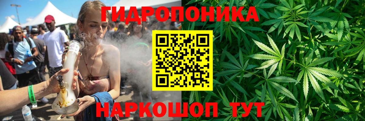 Кингисепп  Каннабис конопля  МАРИХУАНА Bruce Banner  Конопля марихуана  Вход с VPN  Шишки марихуана THC 21% 