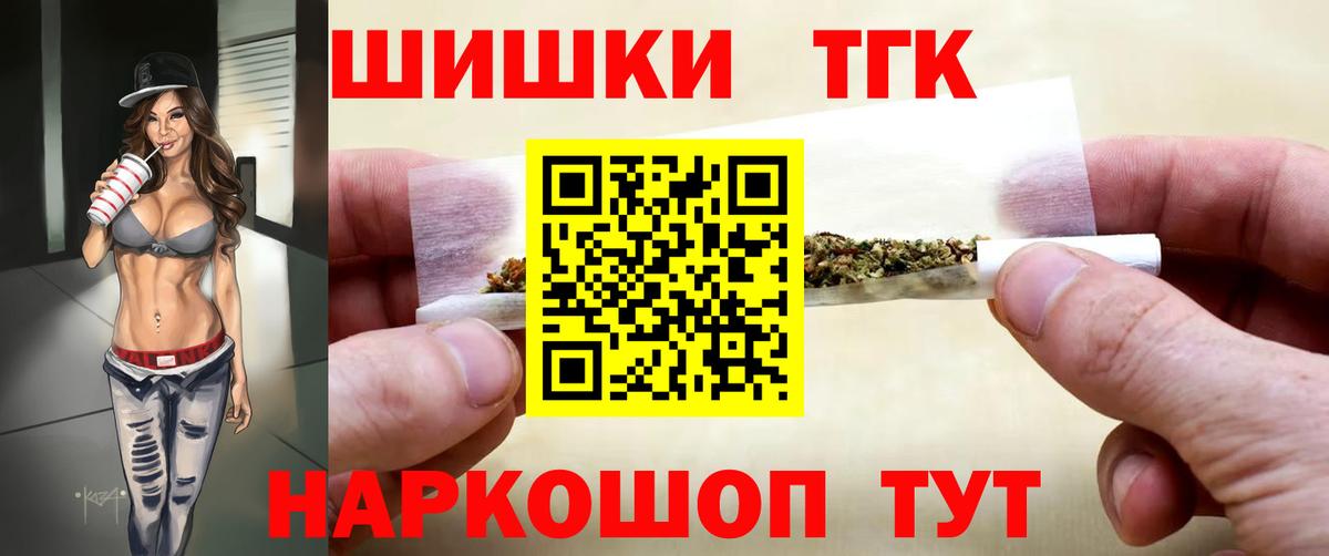APVP Кингисепп